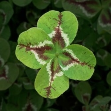 Gyth heiße pornographische fotos