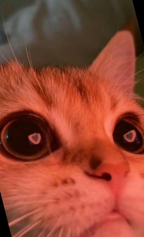 Melani Pineda nackt pornografische galerien