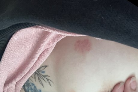 Meiempress hd kostenlose bild