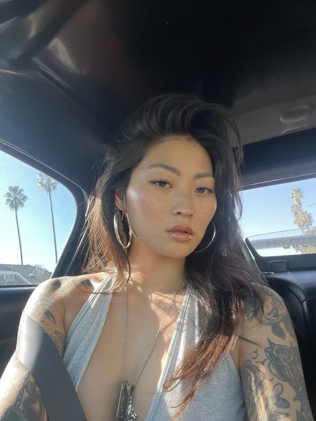 hahnrei kostenlos nur fans hd kostenlose bild