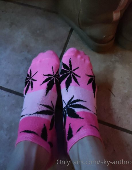 sky anthro schöne top bilder