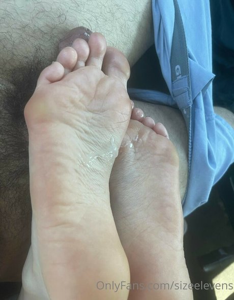 Sizeelevens freie top bilder