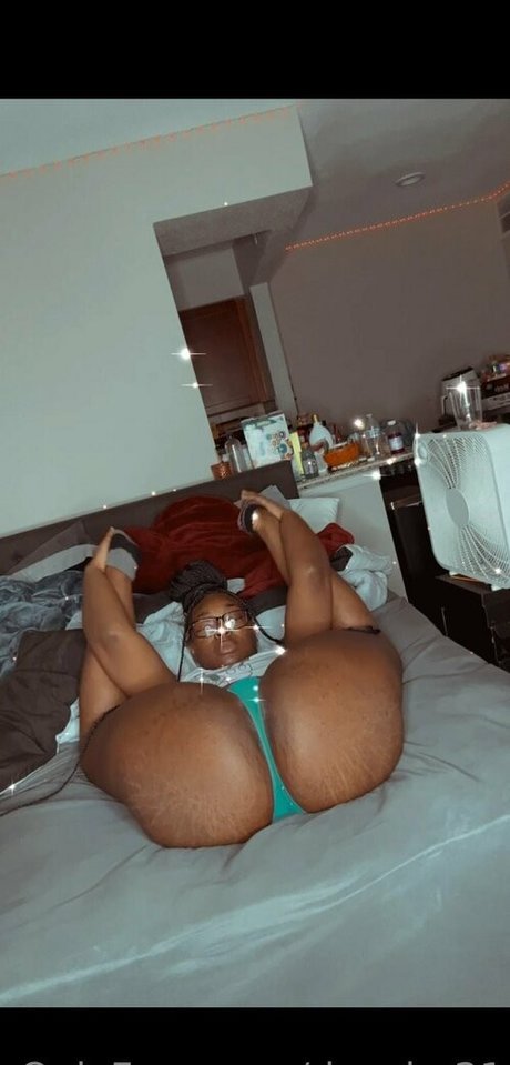 donsha21 perfekte kostenlose fotos