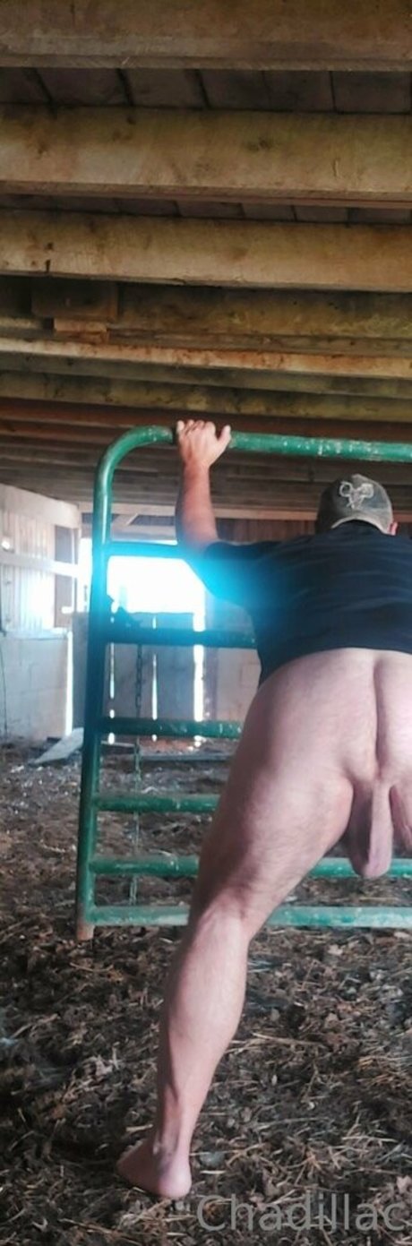 chadillac42 xxx pornostar foto