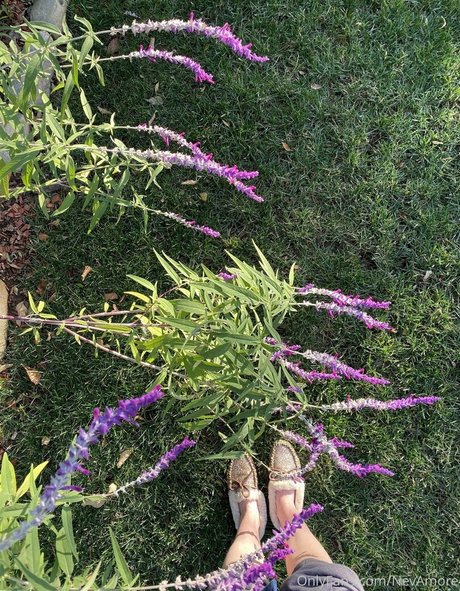 nevamore hübsche porno bilder