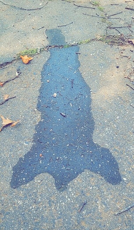 lilotterton schöne pornografische foto