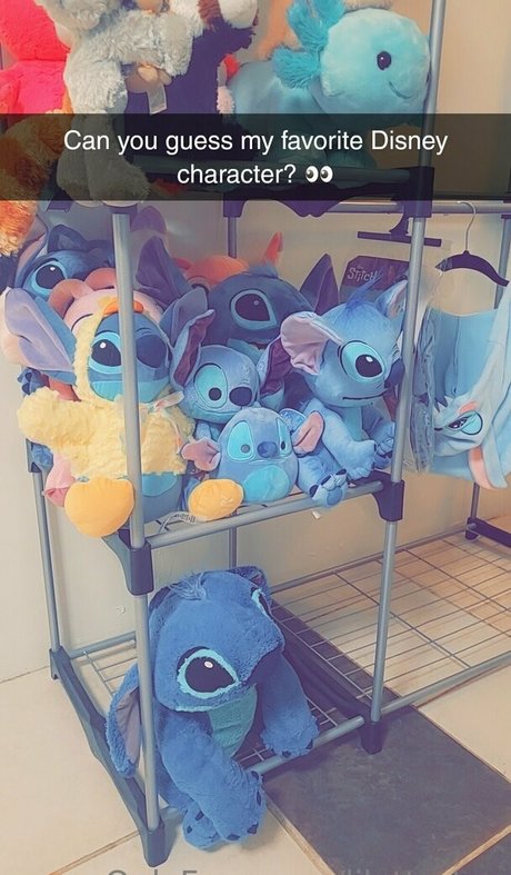 lilotterton perfekte fotos