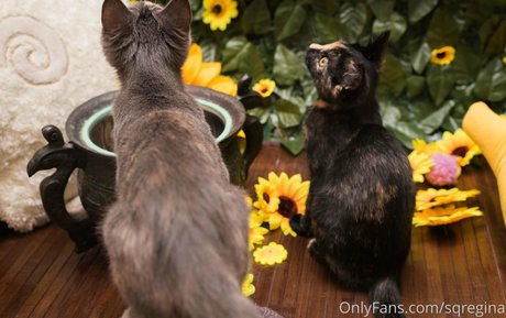 sqregina schauspielerin schöne galerien