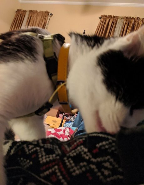 amateurfick nur fans hübsche schöne galerie