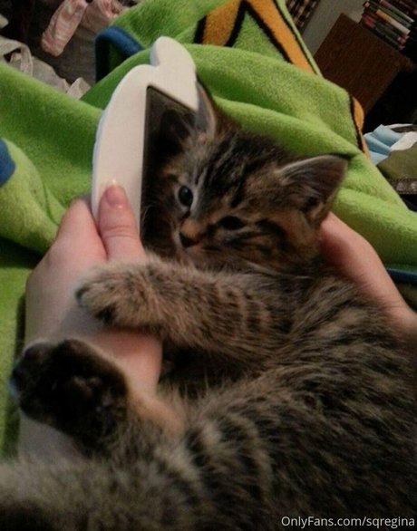 sqregina hübsche heiße bild