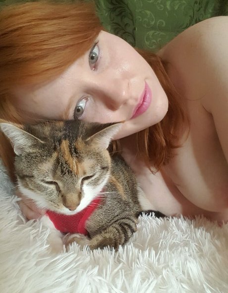 sqregina porno hübsche bilder