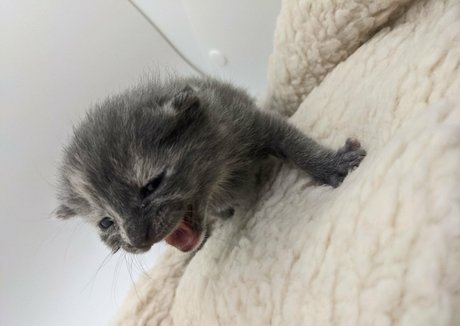 sqregina erotische foto