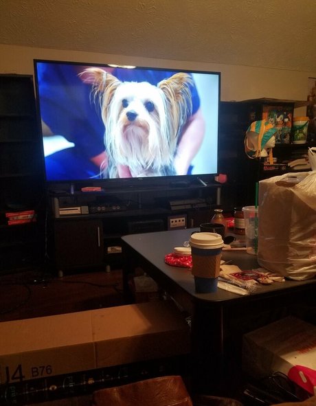 sqregina hd porno bild