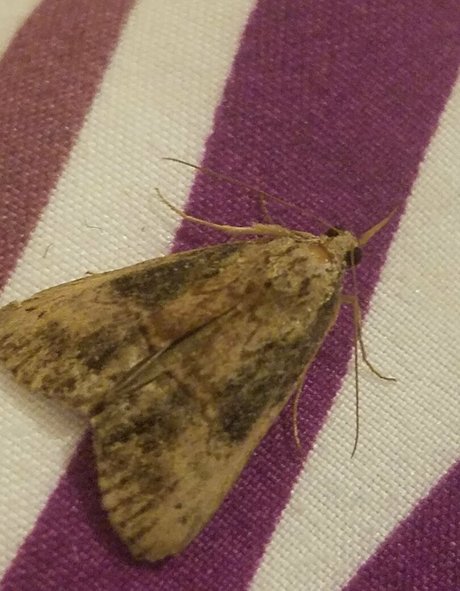 nackte männer onlyfans nette fotos