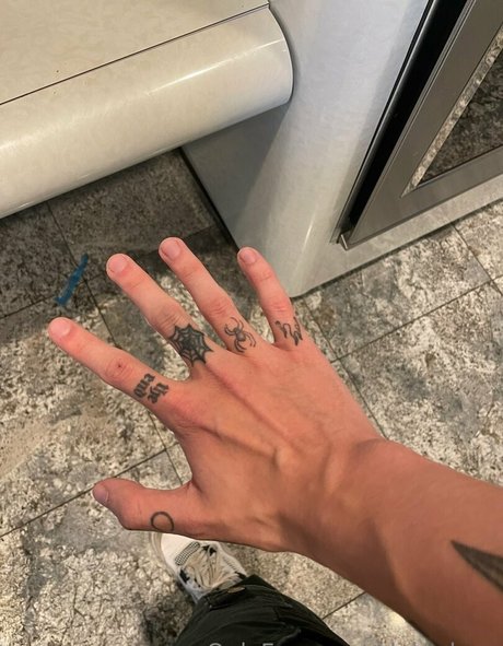 dakarluca erwachsene bild