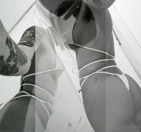 bimbodisco kostenlose archiv