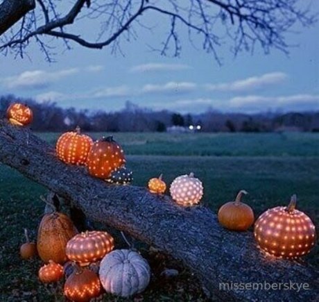 typ onlyfans heiße kunst foto