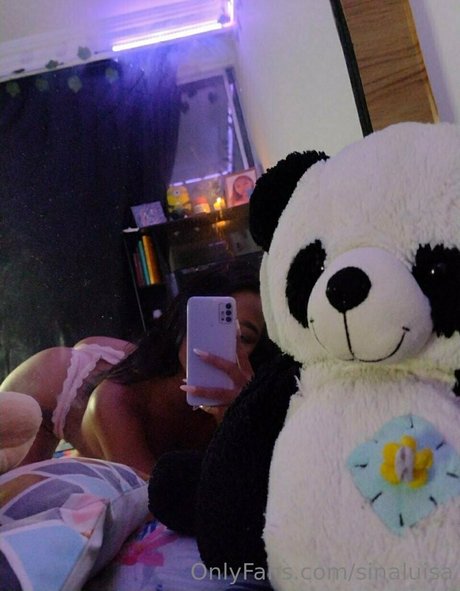 sinaluisa beste freie foto