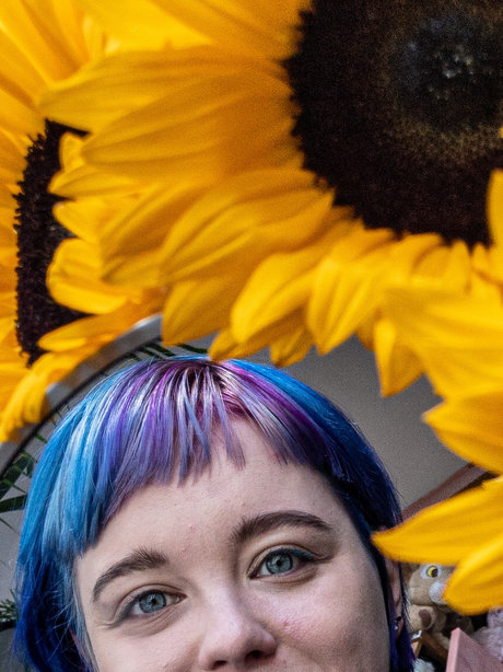 Miahhi perfekte freie galerien