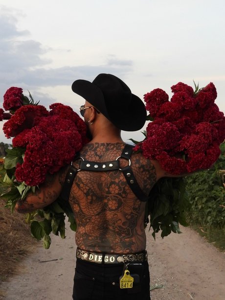 Diego Mexakuza hübsche xxx fotos