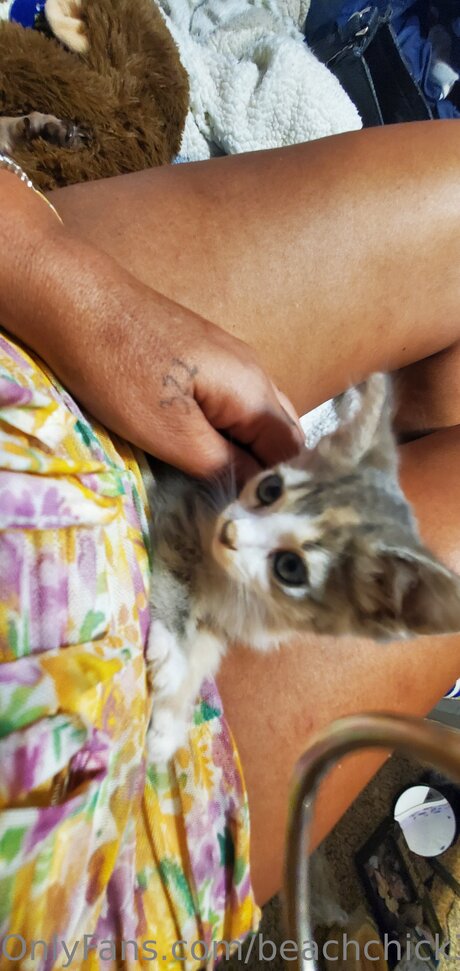 Beach Chick 321 sexy kostenlose foto