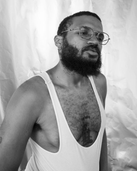 benryfauna perfekte hübsche bilder