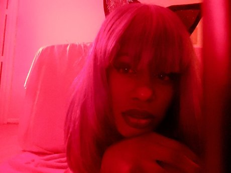 Cat Bitch kunst nackte bilder