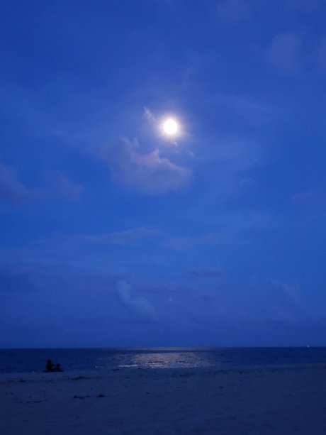 Cat Bitch kostenlose pornostar bild