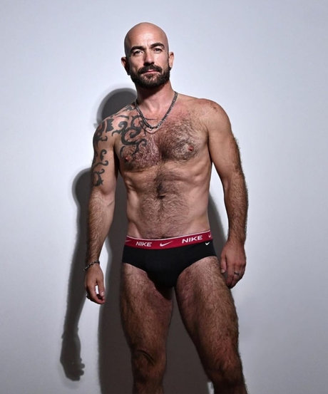 Mick Lover_ pornostar kunst bild