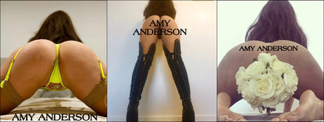 Amy anderson perfekte top bild