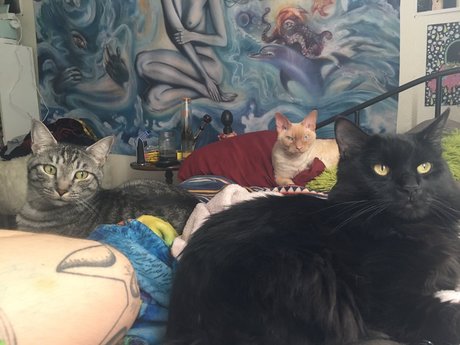 militärische asiatische onlyfans hübsche nackten bild