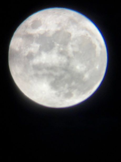 molliges baby nur fans erwachsene beste galerie