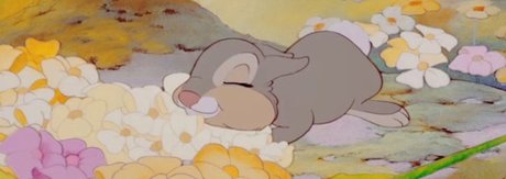 asiatische ladyboy-onlyfans porno sexy archiv