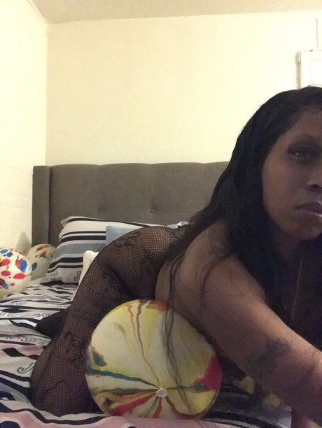 Cajmonet3 schöne galerie