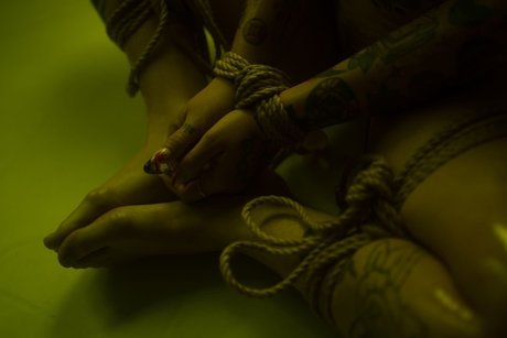 Dex porno beste archiv