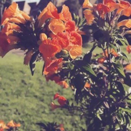 Ana Ann nackt nette bild