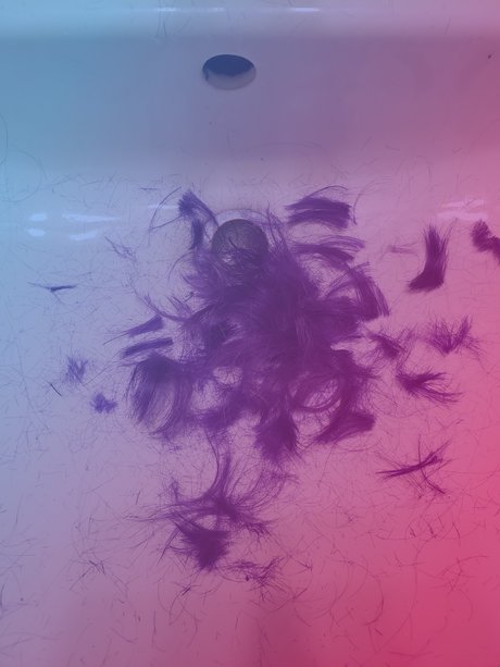 _himbo pussy_ top erotische galerien