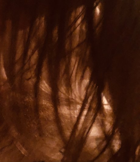 HiddenBrooke_ kunst kostenlose galerie