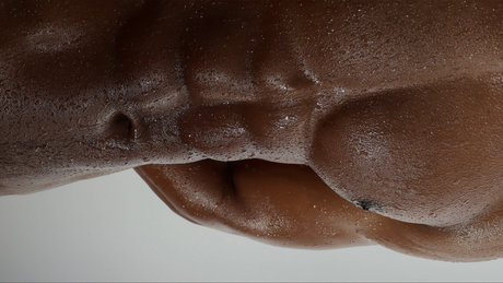 Jay Alexander kostenlose schöne bilder