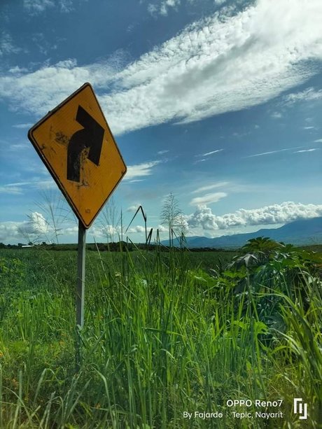 titten lutschen onlyfans sexy perfekte galerie