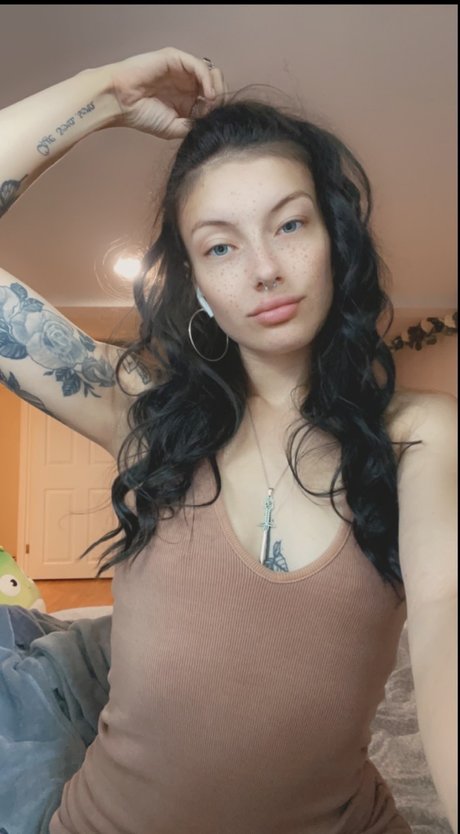 Jax Top 19_ kunst pornografische galerien