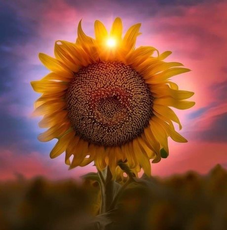 Lizzie Simpson read bio erwachsene erotische bild