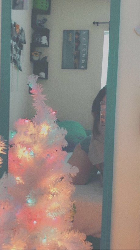 chonkies kunst freie fotos