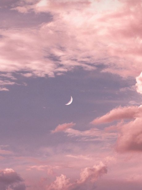 _ui kunst erotische galerien