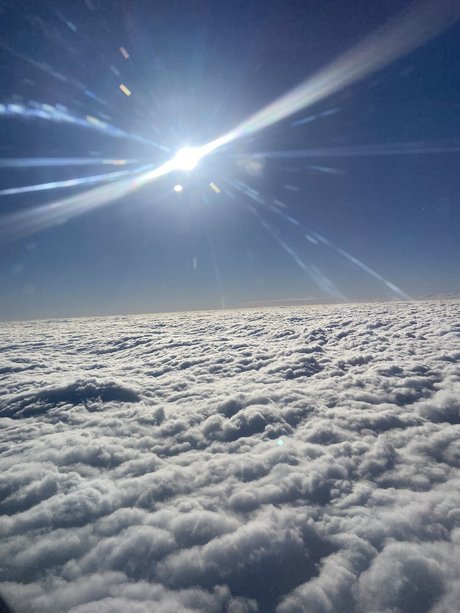 Eleazar Morales top pornostar galerie