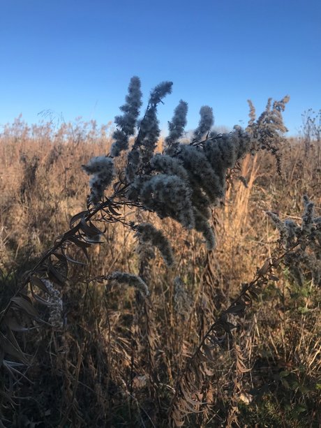 harper erwachsene beste foto