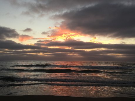 Cumshot Craig free_ pornostar freie foto