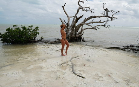 sperma in der muschi onlyfans sexy beste bild