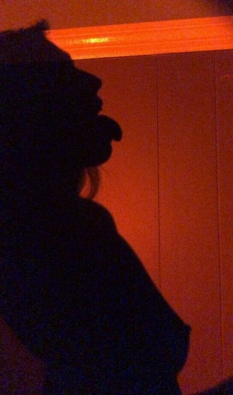 Kelboxo kostenlose perfekte bild