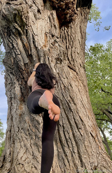 mxdchai beste nackten galerien